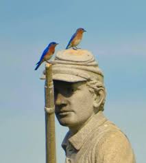 The Bluebirds of Antietam