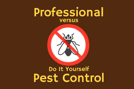 Do it yourself pest control. Professional Vs Diy Pest Control Varment Guard Wildlife Services
