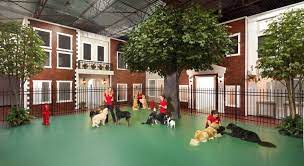 Maybe you would like to learn more about one of these? Photo Gallery Jet Pet Resorts Very Cute But I Can Only Imagine How Often Those Plants Are Peed On Lol Dog Boarding Facility Luxury Dog Kennels Pet Resort