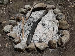 For the past couple of years. Wood Ash Wikipedia