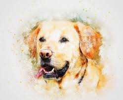 I'm so pleased with how it looks. Best Custom Dog Portrait Services Woof Whiskers