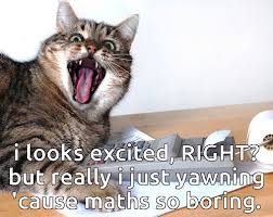 Related Image Cat Yawning Cats Funny Cat Memes