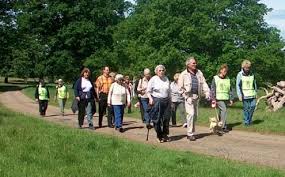 Image result for being active and healthy