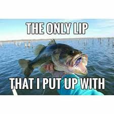 Pin By Robert Conrad On Fishing Jokes Quotes Fishing Memes Funny Fishing Memes Fish
