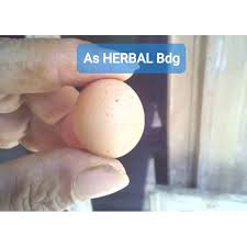 Ayam jantan atau betina itu sangat penting buat para peternak, karena pertumbuhan ayam jantan lebih cepat dari ayam betina. Mustika Telur Ayam Jantan Asli Shopee Indonesia