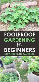 How We Grew Hundreds Of Pounds Of Food Without Weeding Or Watering A Single Time Gardening For Beginners Vegetable Garden For Beginners Organic Gardening Tips