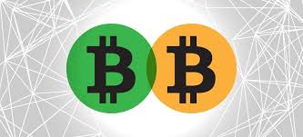 Think of bitcoin being as pervasive as tcp/ip, a value settlement protocol that is a reserve currency for the. The Future Of Bitcoin Cash Hangs In The Balance Will The Hard Fork Happen