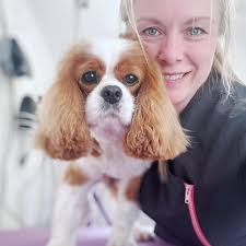 The Dog House Grooming...