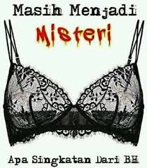 Misteri Bh Bh Meme Lucu Puisi Cinta