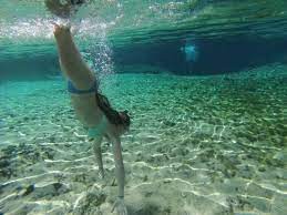 Fanning springs state park is located on the east side of a loop in the suwannee river, right off us highways 19/98 in fanning springs. Swimming Hole With A Manatee Review Of Fanning Springs State Park Fanning Springs Fl Tripadvisor