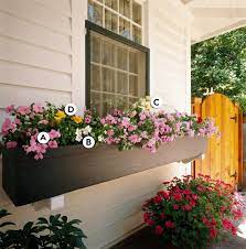 Growing flowers in a window box is a great way to brighten up the front of your home. 16 Easy Shade Window Box Ideas Better Homes Gardens