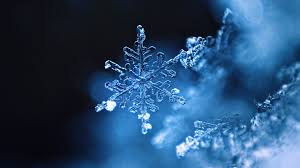 You can also upload and share your favorite snowflake wallpapers. Real Snowflake Bing Wallpaper Download