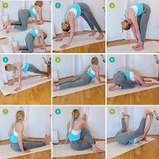 It S Not Easy Just Because It S Basic Yogabeginner Yogaeverydamnday See Previous Post 1 Cat Cow 2 Downward Facing Dog 3 Standing Forward Fold 4 Atlanta
