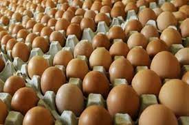 Search the world's information, including webpages, images, videos and more. Stok Telur Ayam Ras Melimpah Kabar Banten