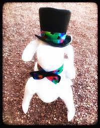 Rainbow Wedding Dog Costume Top Hat Set Hippy Bow Tie Ring Etsy Top Hat Costume Dog Costume Dog Wedding