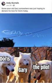 Wolves (en), album de rise against sorti en 2017. These White Wolves Laughing Memes Are Taking Over 20 Pics