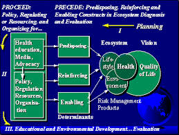 Precede Proceed Health Education Risk Management Health Promotion
