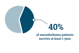 Histologic subtyping of epithelioid mesothelioma. Mesothelioma What Is Malignant Mesothelioma Cancer
