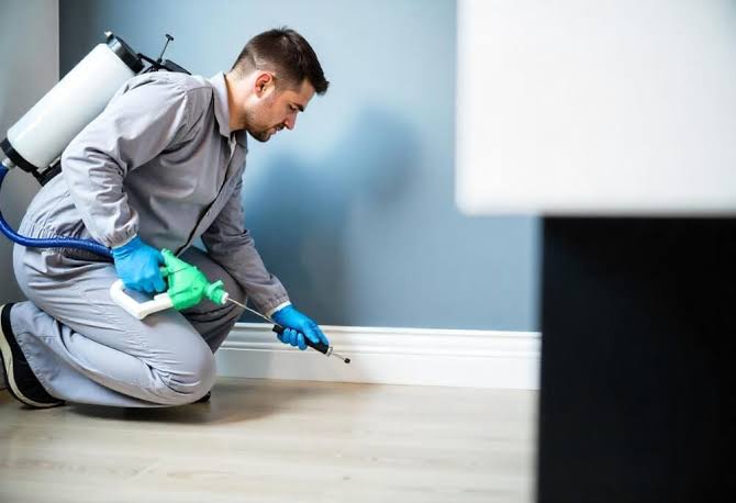 Inspection & Treatment