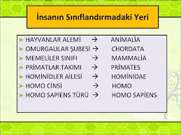 Siniflandirma Bilgisi Ppt Indir