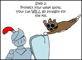 Always check with your veterinarian before feeding your cat a vitamin supplement and do not exceed the recommended dose. 10 Step Guide Goes To Absurd Lengths Explaining How To Make A Cat Take A Pill And It S Hilarious Bored Panda