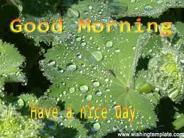 Check spelling or type a new query. Good Morning Rain Best 1600x1200 Wallpaper Teahub Io
