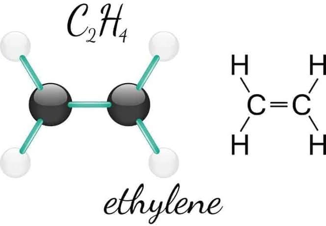 Khí etilen – ethylene là gì, những cảnh báo khi dùng – Khí Công Nghiệp  MigCo – Khí Y Tế – Thiết bị ngành Khí
