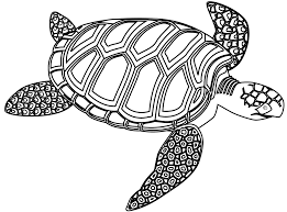 Black And White Turtle Google Search Sea Turtle Art Turtle Turtle Drawing