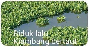 Biduk lalu kiambang bertaut artinya: Facebook