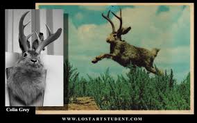 There are millions of possible creatures to make! Animal Hybrid Mask Drawings