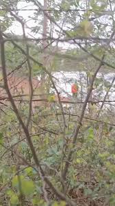 My neighbour Tamil akka dress change in pool - ThisVid.com