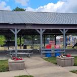 Lunch with the Librarian at Purdy Park