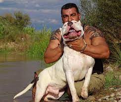 Extreme american bullies gatorhead bullies. American Bully Xl Xxl Greece Beitrage Facebook