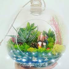 terrarium panosundaki pin