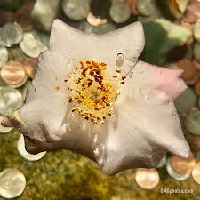 We did not find results for: Easy Canvas Prints Reviews Print Quality Cost See My Canvas