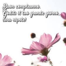 Le Piu Belle Frasi Di Buon Compleanno Per Tuo Nipote