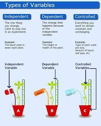 Description Of Independent Variable Dependent Variable And Control Teaching Biology Science Skills High School Science