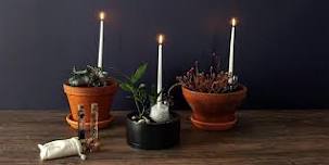 Make-n-Take : Horticultural Spell Jars