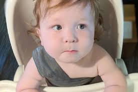 Fundraiser by Kat Phillips : Maverick's Medical Fund