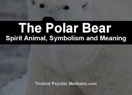 The Polar Bear Spirit Animal A Complete Guide Bear Spirit Animal Spirit Animal Polar Bear