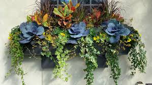 The best plants for window boxes. Herbs For Every Window Box Finegardening