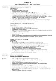 5819 black oak drive • denton, tx 76621. Marketing Assistant Manager Resume Samples Velvet Jobs