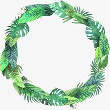 Bush Leaves Vector Material Palm Leaves Coniferous Plants Png Transparent Clipart Image And Psd File For Free Download Tropical Frames Flower Frame Simple Wallpapers
