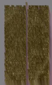 Image result for Hydrostachys myriophylla