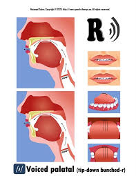 Down daʊn gown gaʊndone d. Wv3gfhvvbx2oym