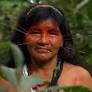 Conoce a los Matsés, el pueblo indígena que usa tecnología moderna para proteger la Amazonía