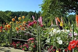 Fence planters offer a smart way to take advantage of minimal space as it allows you to grow plants at several levels. Fencing Unique Garden Fence Idea Some Cheap Yard Fencing