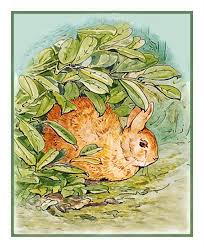 details about beatrix potter peter rabbit hiding counted cross stitch chart pattern