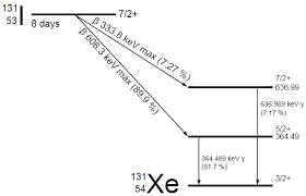 Decay Constant Radioactivity Nuclear Power