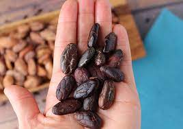 Cacao Vs Cocoa Top 6 Differences And Similarities
